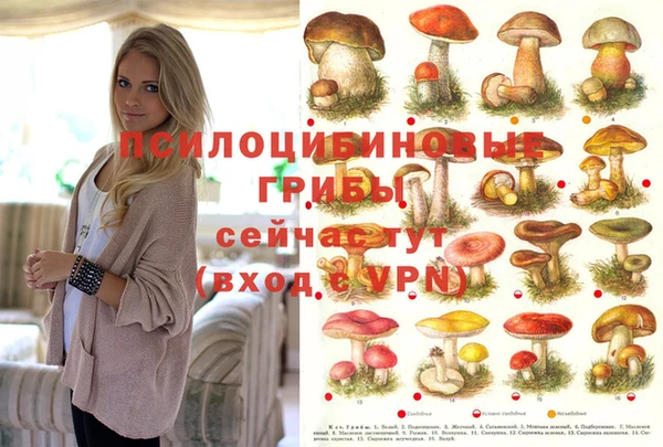 дурь Абинск