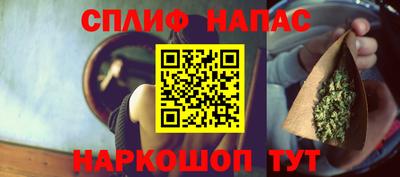 тгк Кингисепп