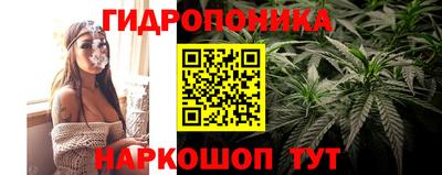 тгк Кингисепп