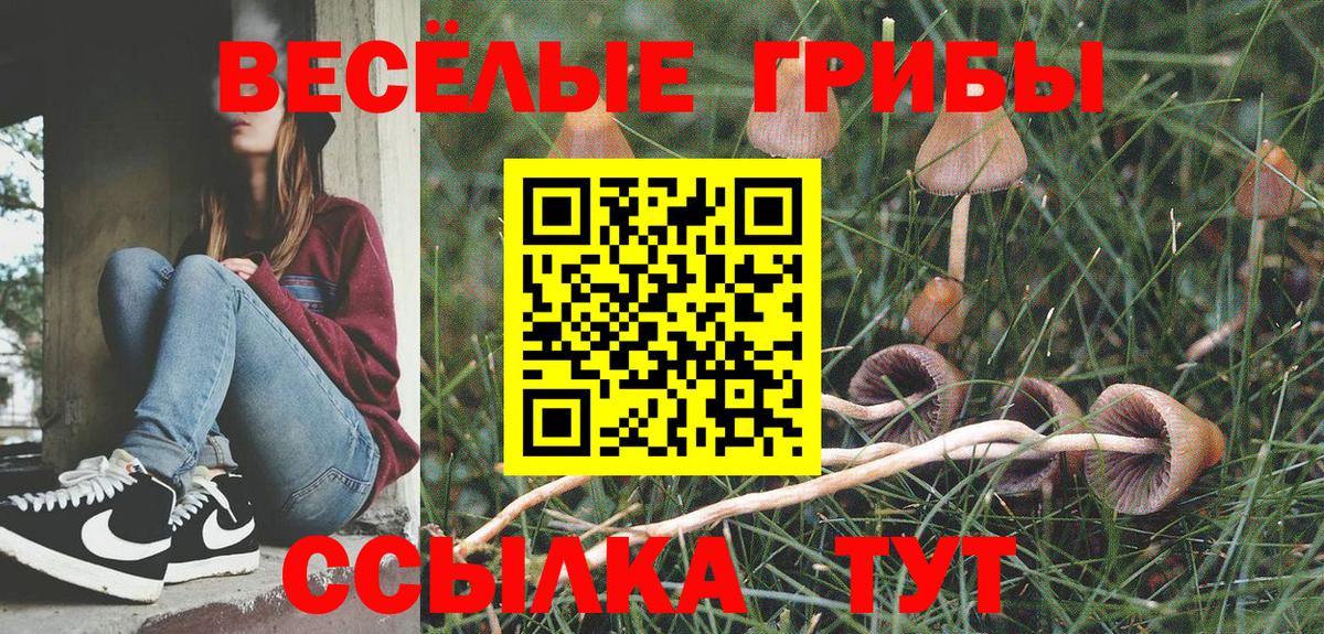Краснодар  Галлюциногенные грибы MAGIC MUSHROOMS  купить наркотик  Вход с VPN 